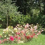 Arianna Hill House Bed & Breakfast La Spezia